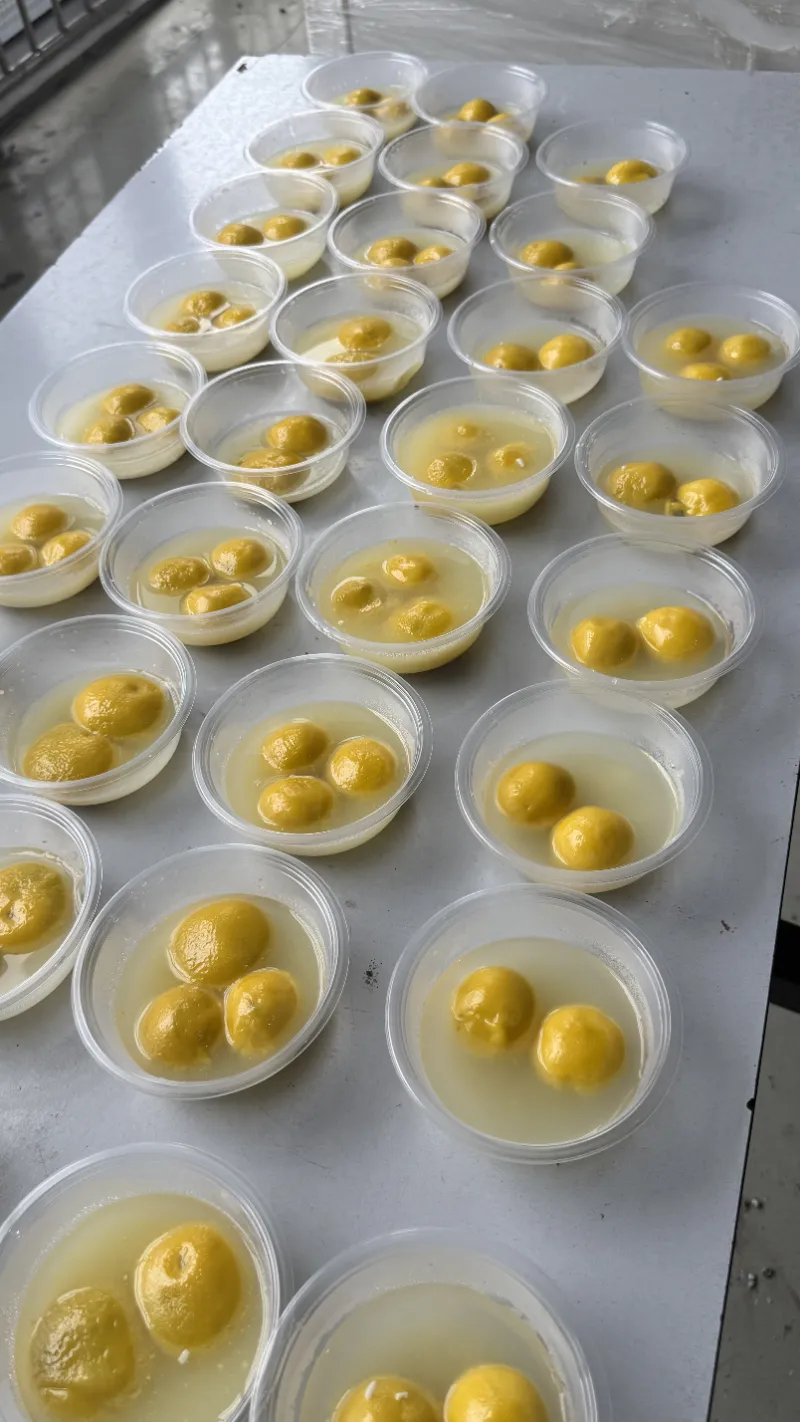 The Lantern Festival brings the warmth of family reunion to SHUAIRUI people